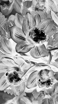 Szary + Negatyw