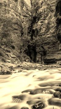 Sepia
