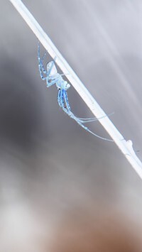 Negatyw
