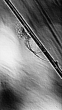 Skamielina