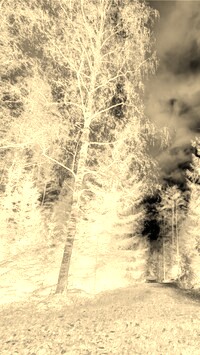 Sepia + Negatyw