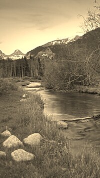 Sepia