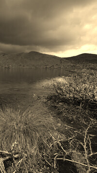 Sepia