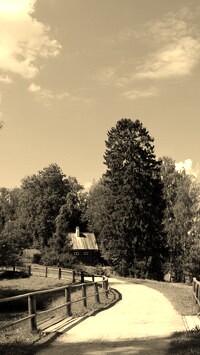 Szary + Sepia
