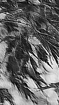 Skamielina