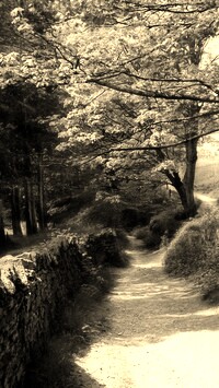 Szary + Sepia