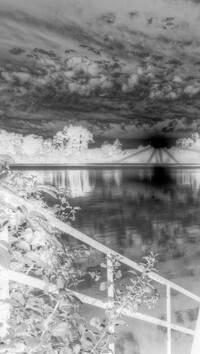Szary + Negatyw