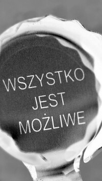 Szary + Negatyw
