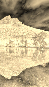 Sepia + Negatyw