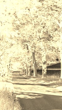 Sepia + Negatyw