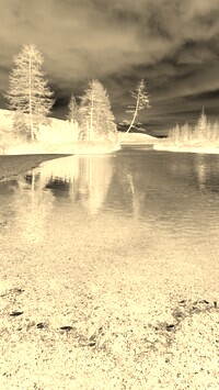 Sepia + Negatyw