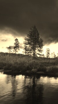 Szary + Sepia