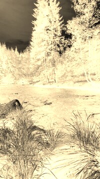 Sepia + Negatyw