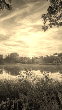 Sepia