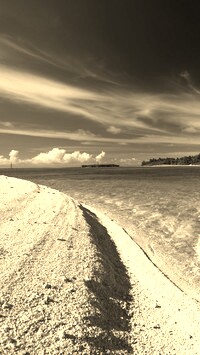 Szary + Sepia
