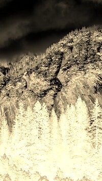 Sepia + Negatyw