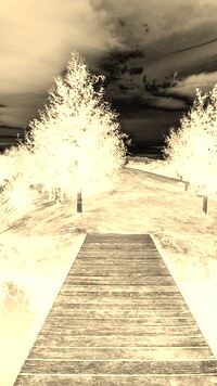 Sepia + Negatyw