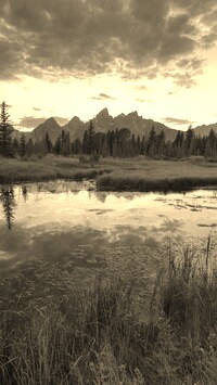 Szary + Sepia