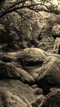 Sepia