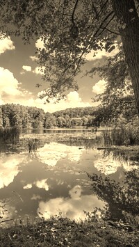 Sepia