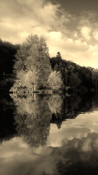 Sepia