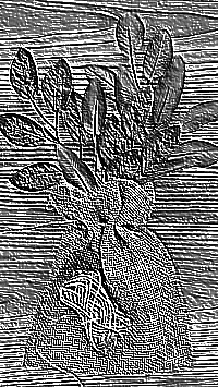 Skamielina