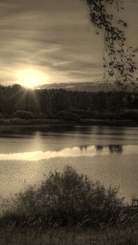 Sepia
