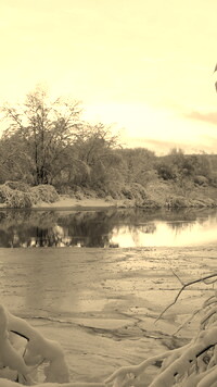 Szary + Sepia