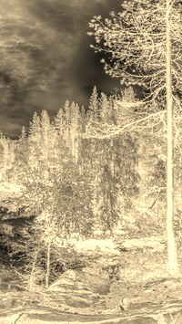 Sepia + Negatyw