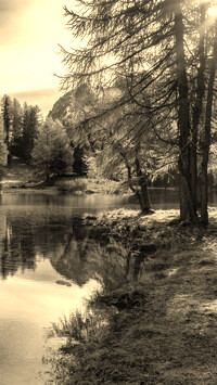 Sepia