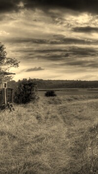 Szary + Sepia