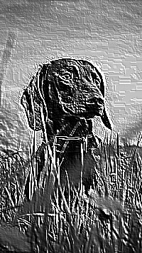 Skamielina
