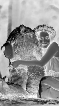 Szary + Negatyw