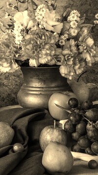 Szary + Sepia