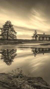 Szary + Sepia