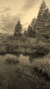 Sepia