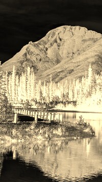 Sepia + Negatyw