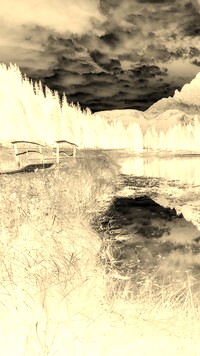 Sepia + Negatyw