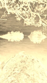 Sepia + Negatyw