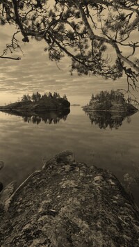 Szary + Sepia