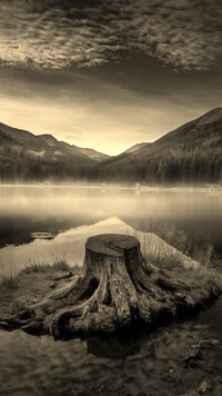 Sepia