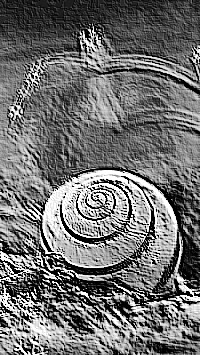 Skamielina