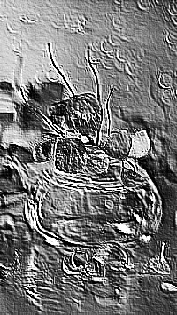 Skamielina