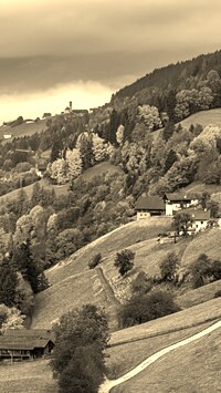 Szary + Sepia