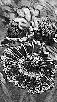 Skamielina