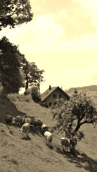 Sepia
