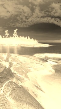 Sepia + Negatyw
