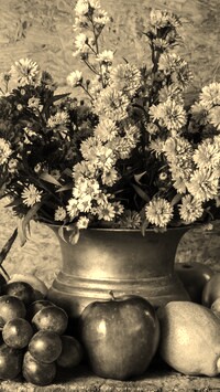 Szary + Sepia