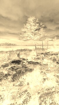 Sepia + Negatyw