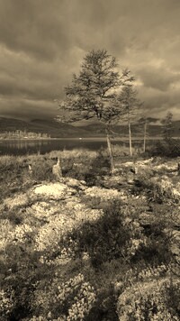 Sepia